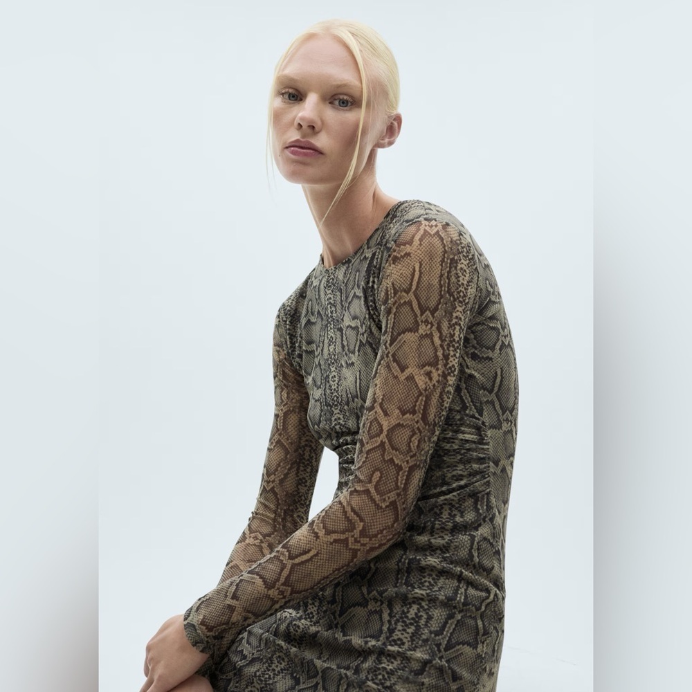 Mango animal print mesh dress NWT - Picture 4 of 6